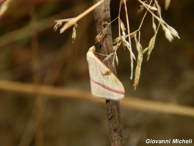 Parco del Ticino: incontri del 12.10.14